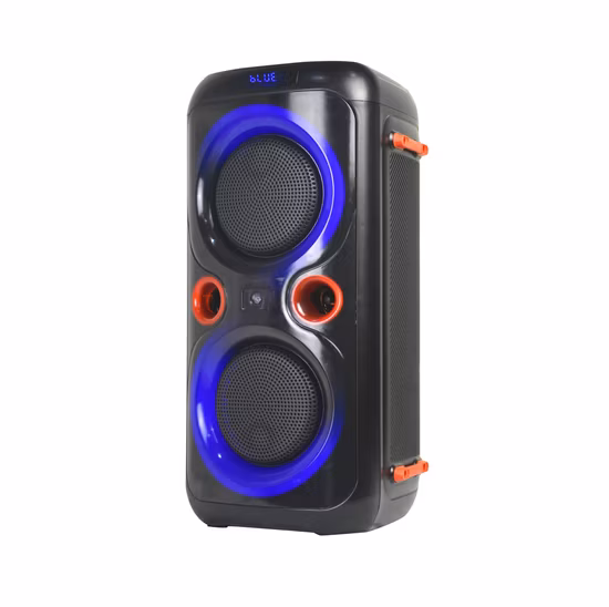 Partie OEM le président professionnel Bluetooth DJ karaoké portable sans fil rechargeable extérieur boîte de fête active le président avec lumière LED disco